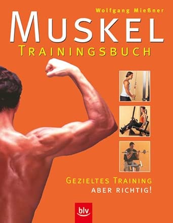 Muskel-Trainingsbuch: Gezieltes Krafttraining - aber richtig! cover image